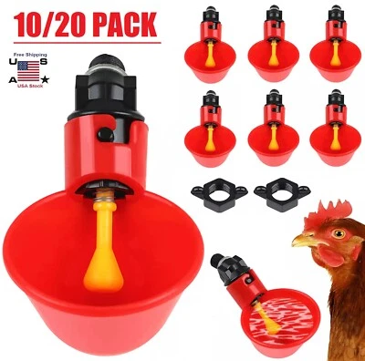20× Poultry Water Drinking Cups Feeder Chicken Hen Plastic Automatic Drinker USA - Image 1 of 4