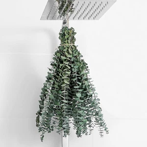 10 Pcs Dried Eucalyptus Stems 17" Real Eucalyptus for Shower Hanging 100% Made f - Picture 1 of 12