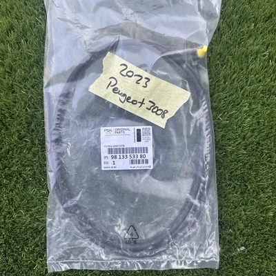 PEUGEOT 3008 Tubo Lavadora Ventana 9813353380 NUEVO GENUINO 2023  Foto 1 de 2