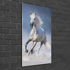 Tulup Glass Print Wall Art 50X100   White Horse In Gallop