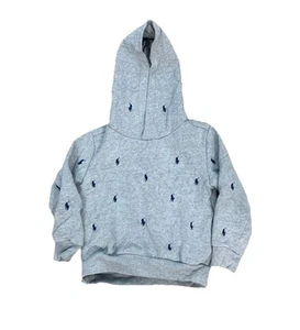 Polo Ralph Lauren Jacket Boys 4T Grey Long Sleeve Zip Casual Playwear Hoodie - Picture 1 of 8