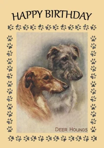 DEERHOUND DOG BIRTHDAY GREETINGS NOTE CARD - Picture 1 of 1