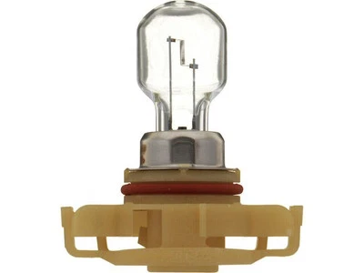 Bombilla antiniebla delantera Philips 55495KKYG para Pontiac G8 2008-2009 Foto 1 de 2