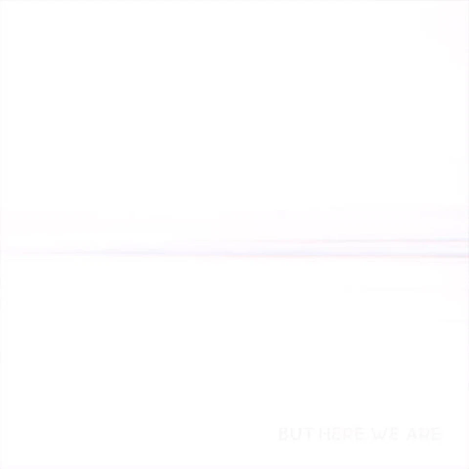 But Here We Are - Foo Fighters Vinyl - Image 1 of 1