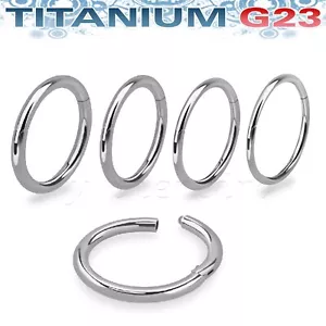 PAAR G23 Titan Klapp Segment Ring Clicker Helix Lippe Nase Septum Ring 20g-14g - Bild 1 von 7