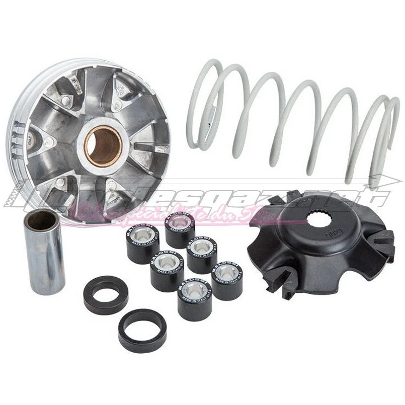 Variateur Malossi Multivar piaggio ap.98 nrg typhoon gilera runner stalker - Photo 1/1