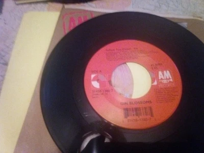 Gin Blossoms 45 Record Follow You Down A&M Label Unplayed Excellent Foto 1 de 2