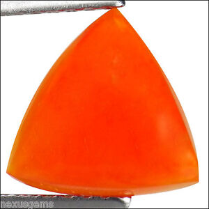 1.18 Ct Natural Ethiopian Orange Opal Gemstone Trillion Cabochon Cut