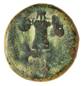 Tito PRIMEROS JUDEA CAPTA 79-81 CE de CESAREA MARÍTIMA Antigua Moneda Romana 330 - Imagen 1 de 2