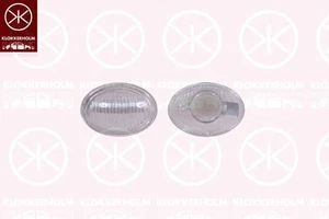 Indicator Lamp - Clear - L/R - fits Fiat 500 (312_) 2007- - Picture 1 of 1