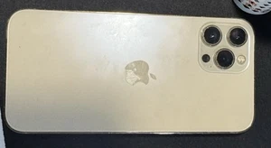 12 Pro Max Gold Housing Case - Picture 1 of 4