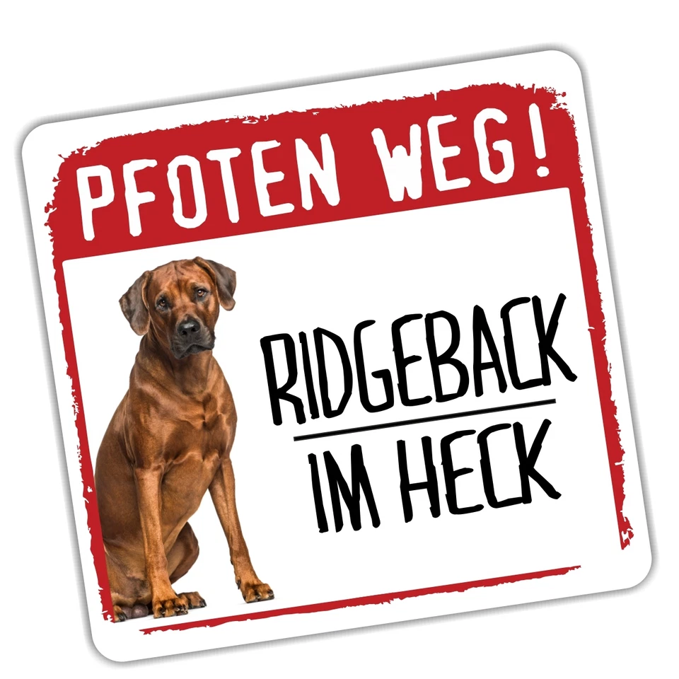 Auto Aufkleber REFLECTIVE RHODESIAN RIDGEBACK PFOTEN WEG SIVIWONDER REFLEX - Bild 1 von 1