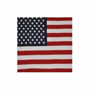bandana USA ETAT-UNIS 55x55cm - Imagen 1 de 1