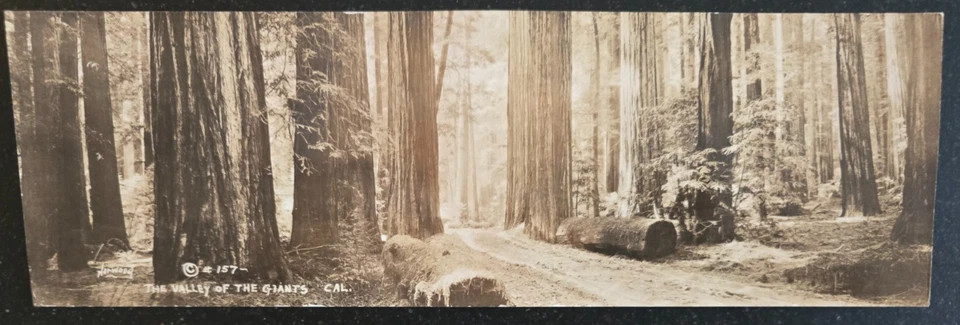 Foto panorámica sepia vintage, El Valle de los Gigantes, California Foto 1 de 1