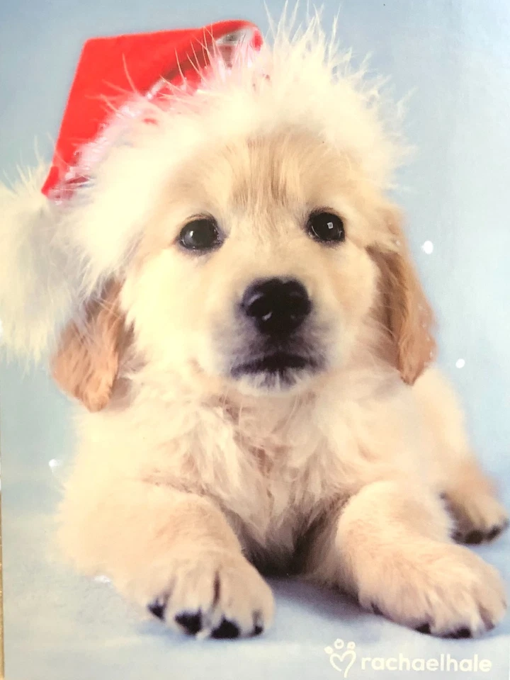 Paper Magic 18 White Lab Puppy Dog Santa Claus Holiday Christmas Cards - Image 1 of 1
