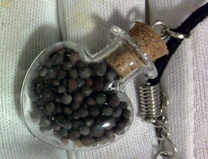 Anhänger mit Senfsamen aus Galiläa, Israel - Unikat Schmuck - Imagen 1 de 10