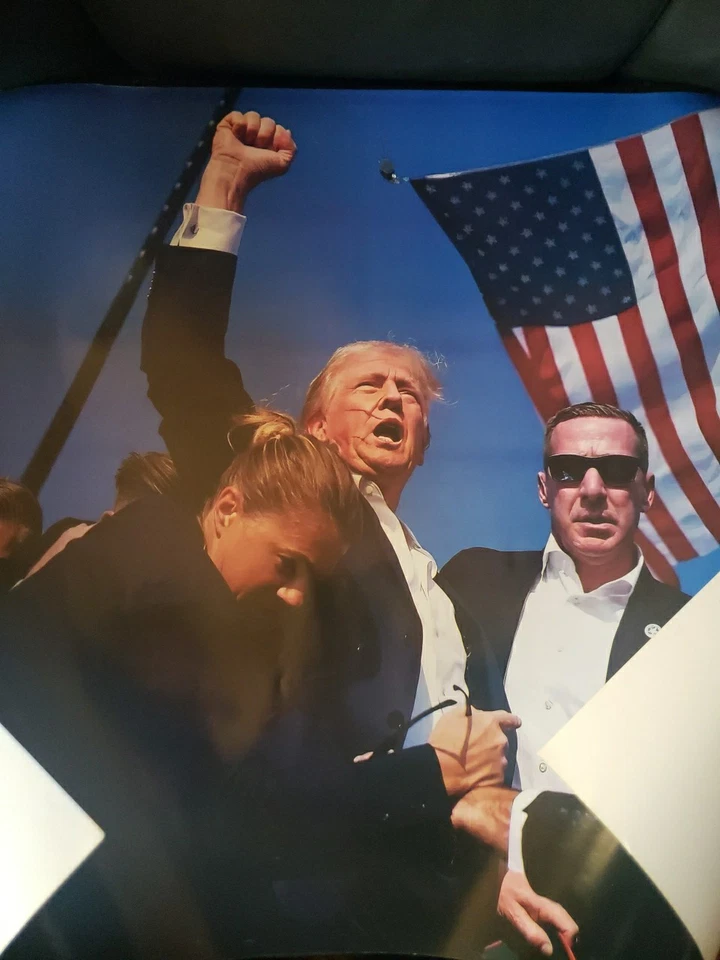 唐纳德·特朗普暗杀继续战斗图片 18 英寸 X 24 英寸海报看起来很漂亮 — 第 1/1 张图片