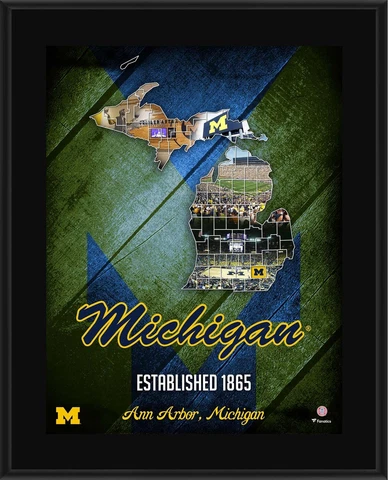 Michigan Wolverines 10.5" x 13" 2018 Sublimated State Plaque Cover