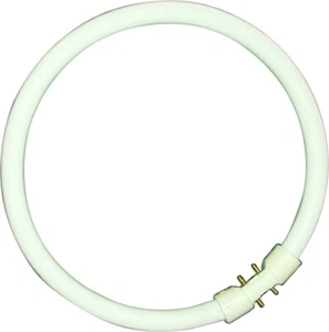 BELL 05471 60W T5 Circular Tube - 2GX13, 6500K - Daylight - Picture 1 of 1