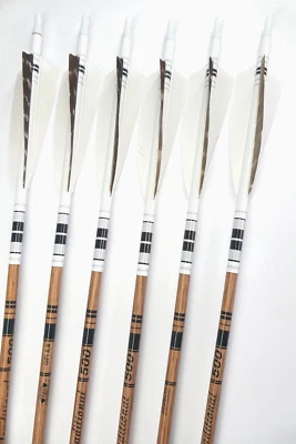 Gold tip Traditional custom arrows - Image 1 of 4