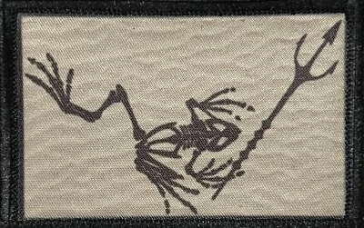 Navy Seal Frogman Morale Patch Tactical Military Army Flag Hook Badge USA - Image 1 of 4