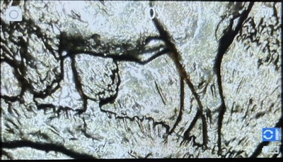 2005 D 6 Legged Buffalo Rare Error 2006 North Dakota Quarter Uncirculated! - Image 1 of 4