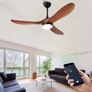52'' Ceiling Fan with Lights and Remote Control & APP Control 3 Blades Outdoor - Picture 1 of 7