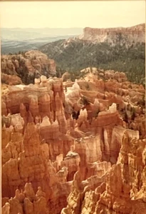 Bryce Canyon Forest of Rocks Arial Photography 1984 Alan Proffitt 11x14 incorniciato - Foto 1 di 16
