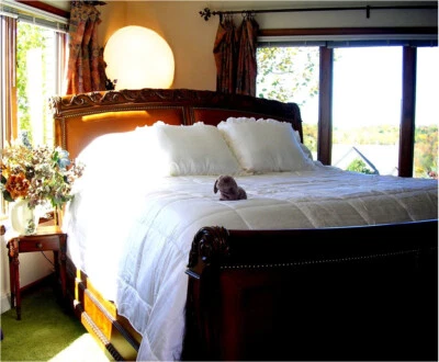 Soft Surroundings Silk Comforter (Silk inside and out) King Ivory  Last One!! - Image 1 of 3