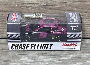 NASCAR Action Chase Elliott 1:64 Scale Diecast #9 Hooter's 2020 Purple/Black Car - Picture 1 of 10