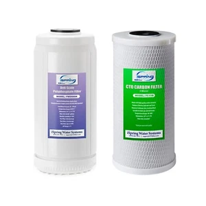 Bloque de carbono y filtros antiescala iSpring F2WGB21BDS para toda la casa 4,5"x10" CTO - Imagen 1 de 1