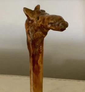 Vintage Irish Blackthorn Walking Stick / Cane~ Styalised Camel Head Handle~34” - Picture 1 of 20