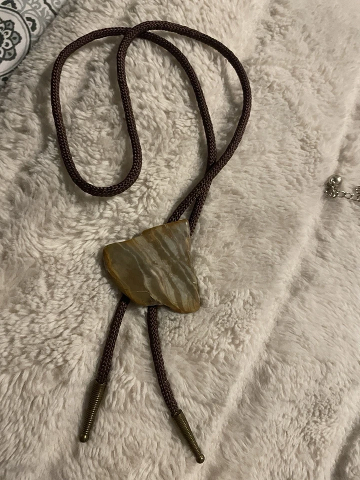 Fósil de piedra de madera petrificada Bolo Tie Foto 1 de 4