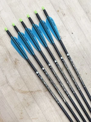 VICTORY Tiro con Arco V-TAC 23 Elite V1 270 Columna 1/2 Docena Longitud Completa (31”) - 6 Usado Foto 1 de 4