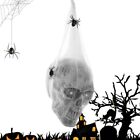 Spiders Halloween Glowing Skull Head Cloth Simulation Skull Head   Outdoor