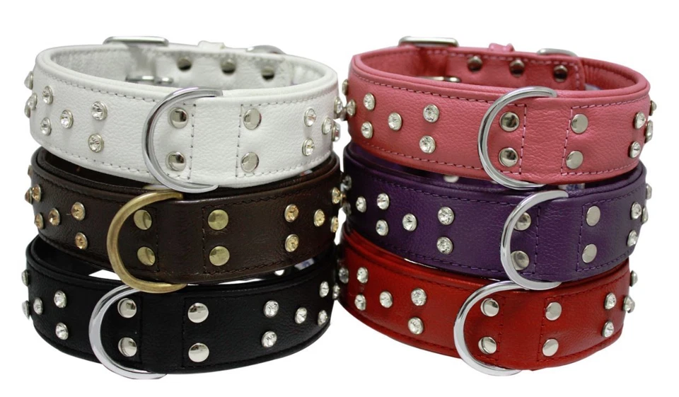 Collar de perro Atenas cuero genuino y diamantes de imitación de Angel XS S M L XL XXL Foto 1 de 4