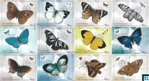 Briefmarken Sri Lanka 2022, Endemische Schmetterlinge, Maxikarten - Bild 1 von 1