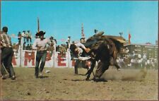 1997 Calgary Stampede Calf Roping Tie Down Roper Lapel Hat Souvenir Pin
