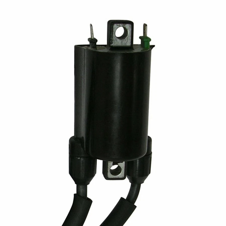 BOBINA AT ESTERNA 12V CC DOPPIA ACCENSIONE PER HONDA 600 CB 600 F HORNET S 2000 Foto 1 de 1