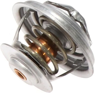 Termostato refrigerante motor Motorcraft RT-1167 para Ford Ranger 4,0 L Foto 1 de 3