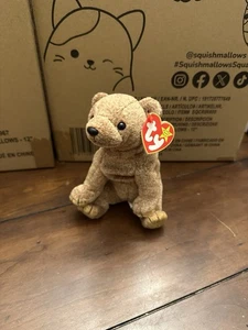 Ty Beanie Babies: Pecan The Bear - New - Without Tag Protector - Picture 1 of 5