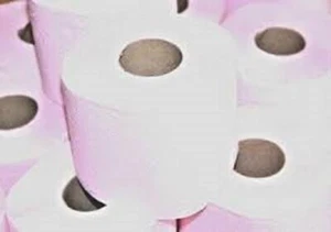 INGROCART 60 ROTOLI CARTA IGIENICA PROFUMATA MAXI ROTOLO FLOREALE PROFESSIONAL - Picture 1 of 1