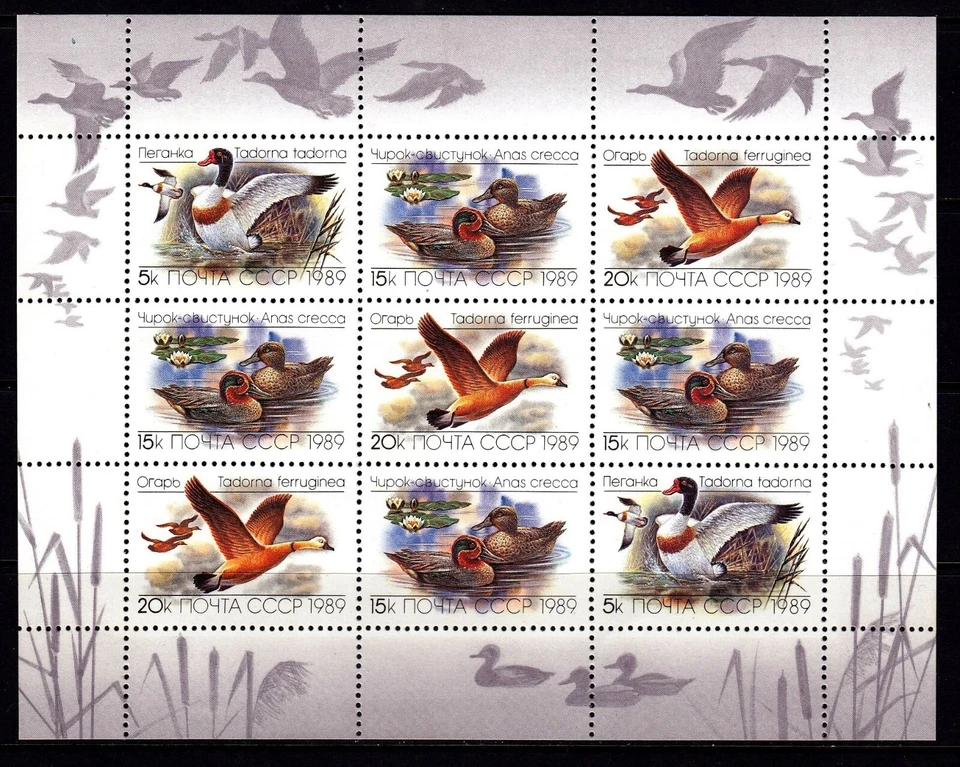 Russia #Mi5965-Mi5967 MNH M/S 1989 Teal Goose Shelduck [5785a] - Image 1 of 1
