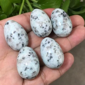 5 piezas Tianshan Azul Cuarzo Huevo Cuarzo Cristal Calavera Reiki Gema Curativadora - Imagen 1 de 12