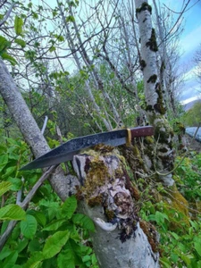 Handmade Long seax knife, hand forged Viking knife, fixed blade knife with cover - Picture 1 of 6