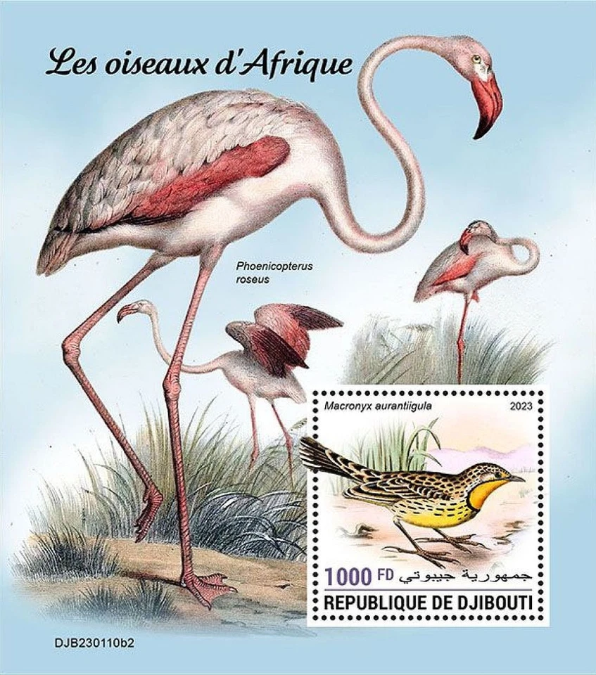 THE BIRDS OF AFRICA African Birds/Bird MNH 1v-Sello Hoja #2759 (2023 Djibouti) Foto 1 de 1