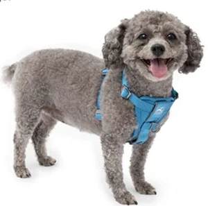 Tru-Fit Smart Dog Harness, Pet Walking Small, Quick Release ... - Picture 1 of 2
