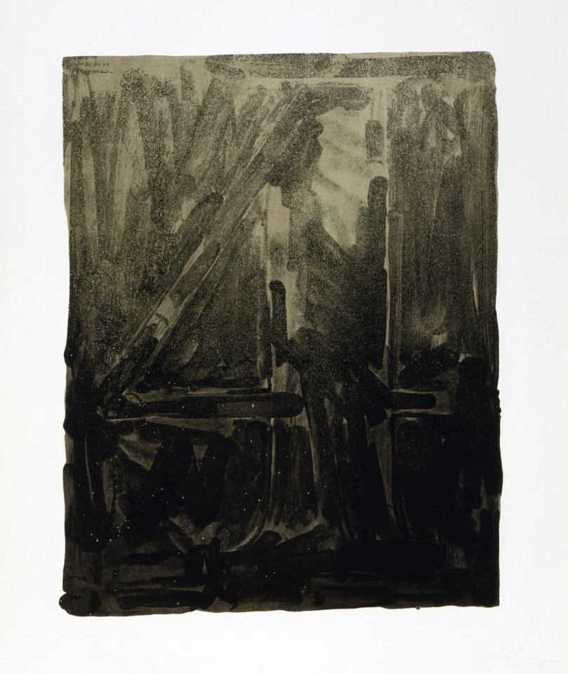 Jasper Johns: Figura 4 22x30 Calidad Archivo Bellas Artes Impresión Foto 1 de 1