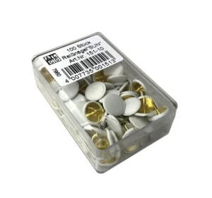 Reinaegel Sun Blanco - Imagen 1 de 1