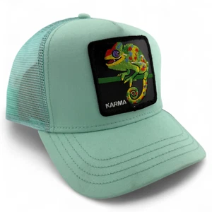 Goorin Bros Karma Chameleon The Farm Trucker Mütze Kappe Netz verstellbar Druckknopflasche - Bild 1 von 4